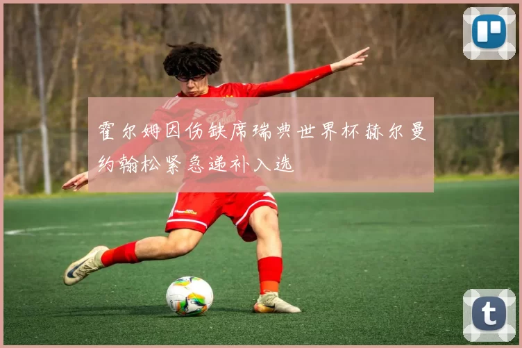 霍尔姆因伤缺席瑞典世界杯赫尔曼约翰松紧急递补入选