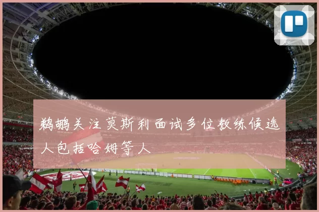 鹈鹕关注莫斯利面试多位教练候选人包括哈姆等人