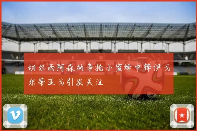 切尔西阿森纳争抢小蜜蜂中锋伊戈尔蒂亚戈引发关注